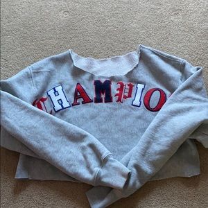 Xhampion hoodie (bought cut)